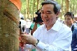 Chính thức khơi dòng 'vàng trắng' đầu tiên ở Lai Châu